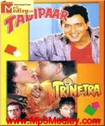 Tadipaar 1993